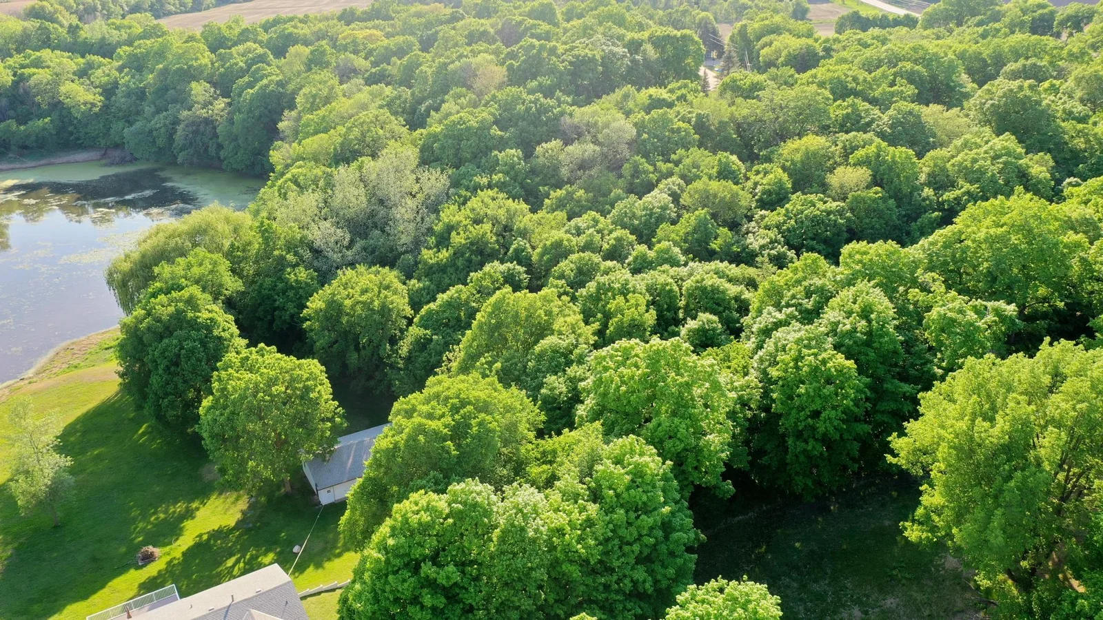 Overview