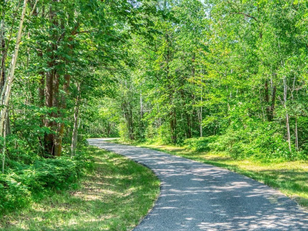 Asphalt driveway.jpg