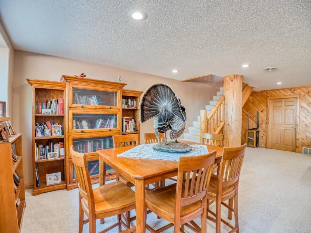 lower family room shelves.jpg