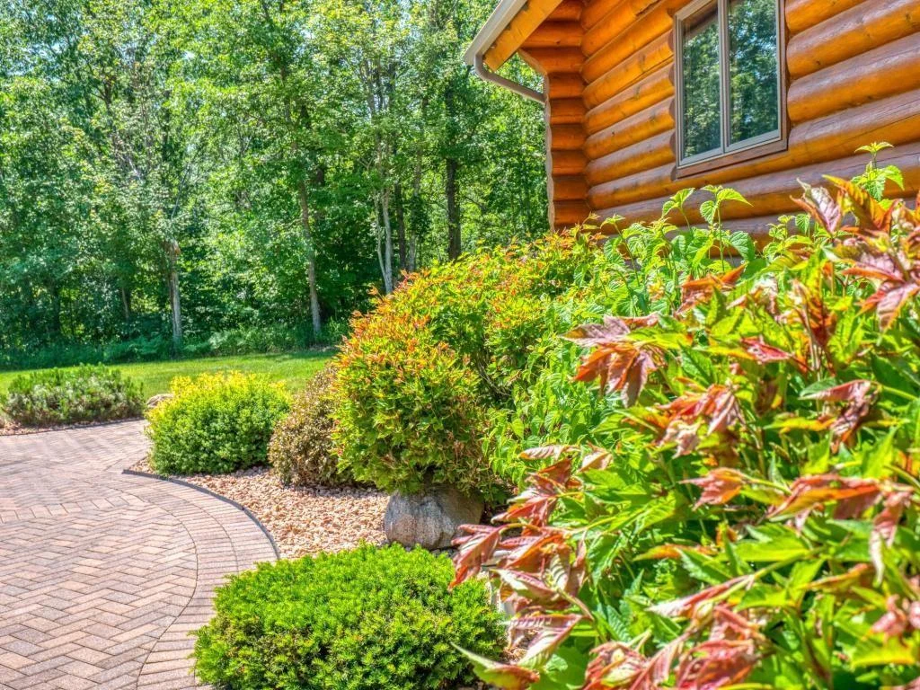 houseside shrubs and flowers.jpg