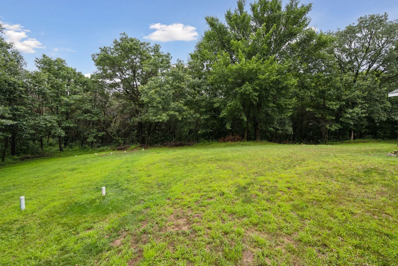 16760 203rd Avenue - Back Yard