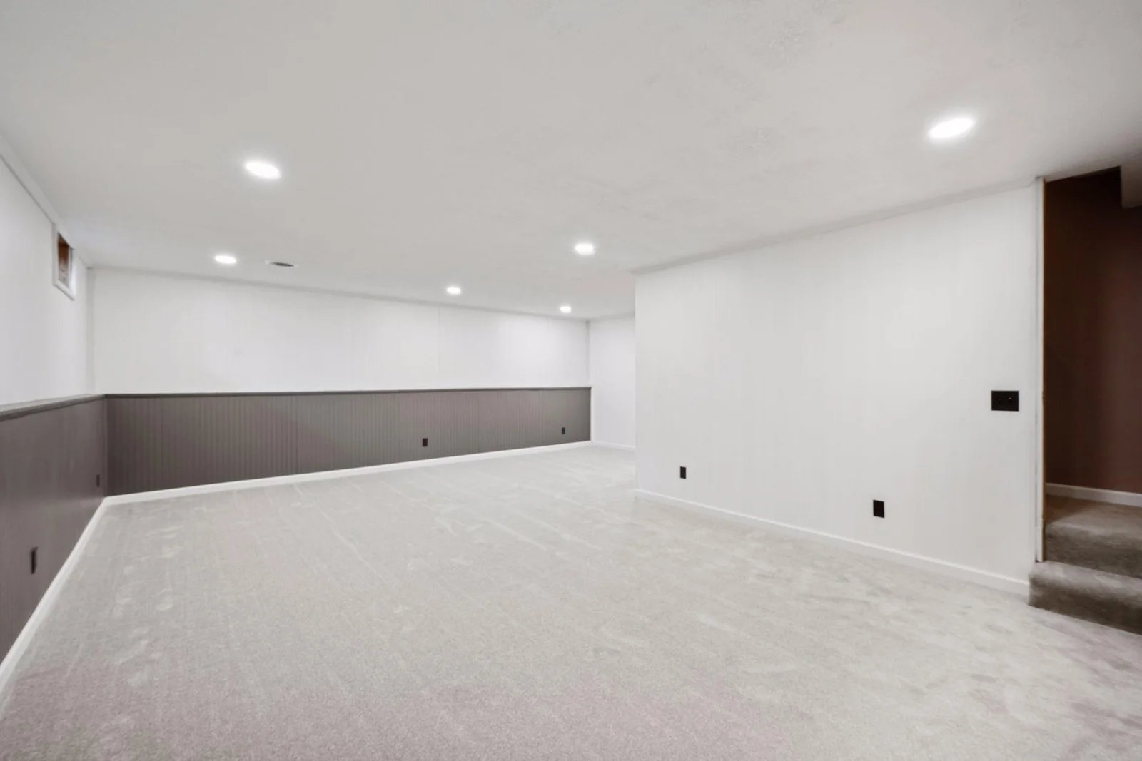 16760 203rd Avenue - Lower-Level Family Room - New Carpet / Paint / Lights ++