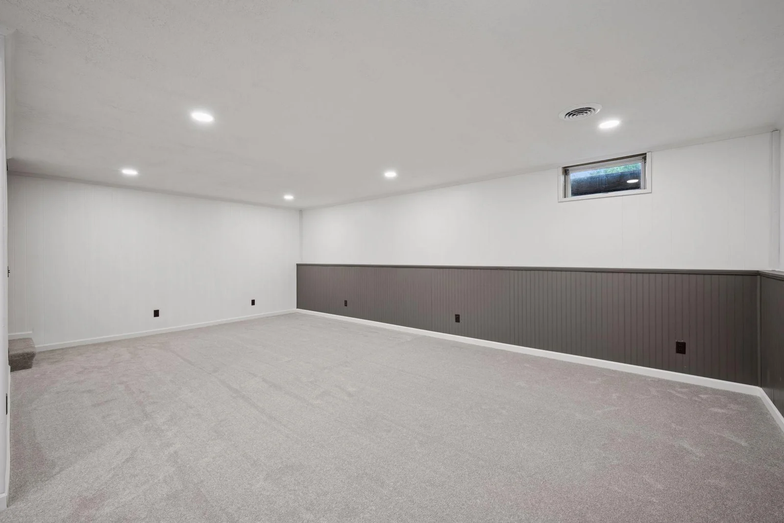 16760 203rd Avenue - Lower-Level Family Room - New Carpet / Paint / Lights ++