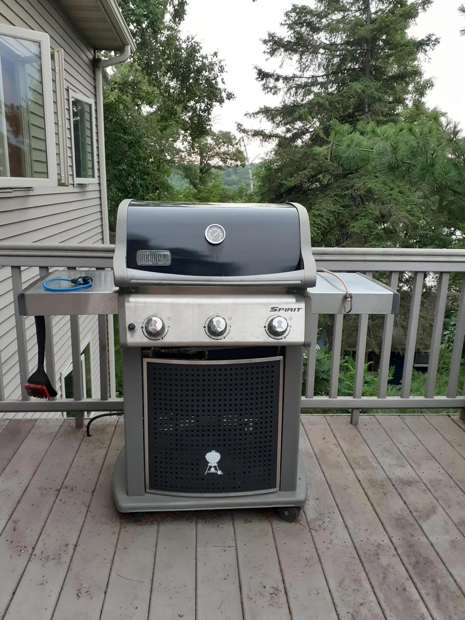Gas grill on deck.jpg
