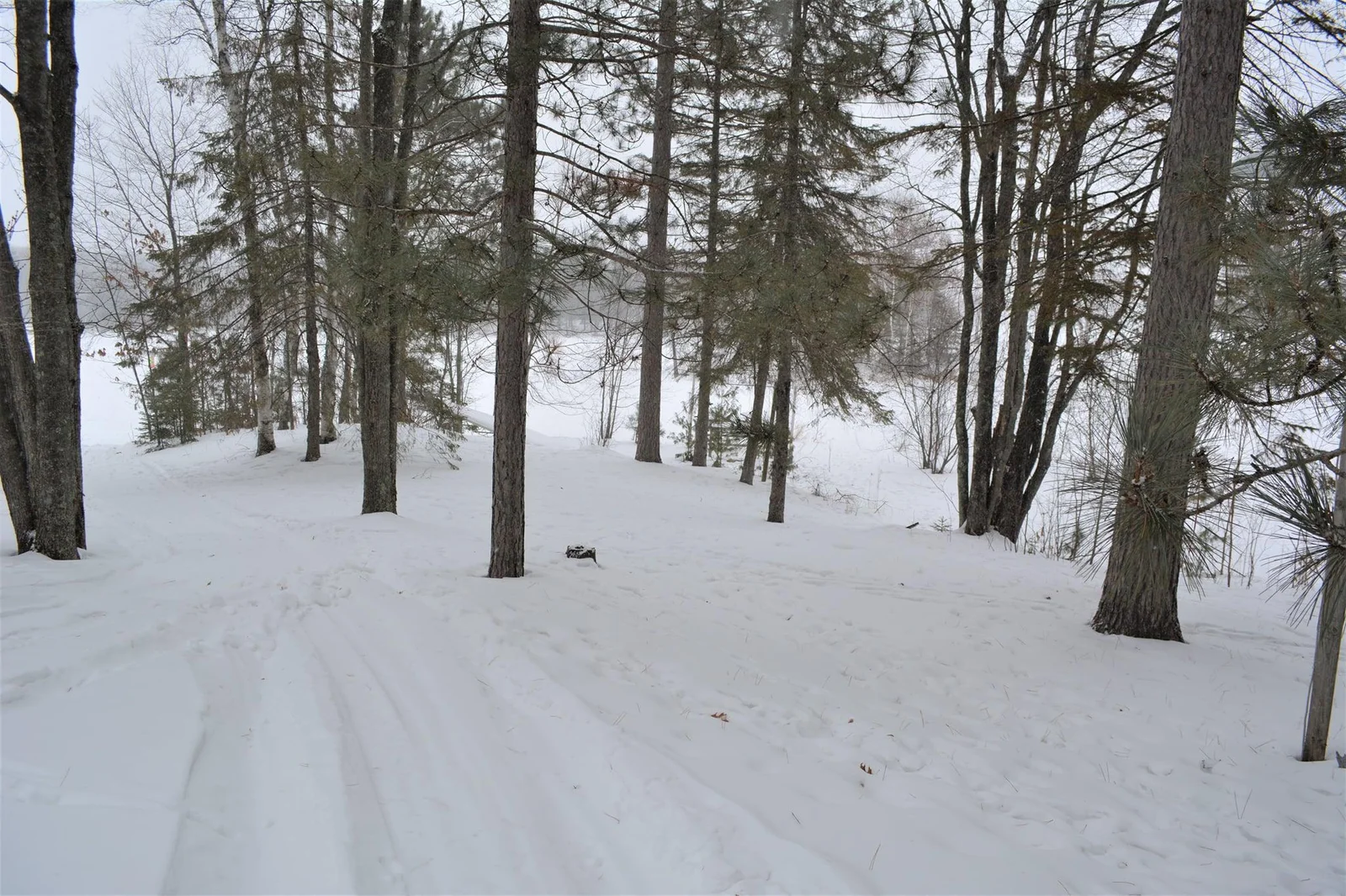 Common Area - Trails for walking/hiking, ATV/UTV rides
