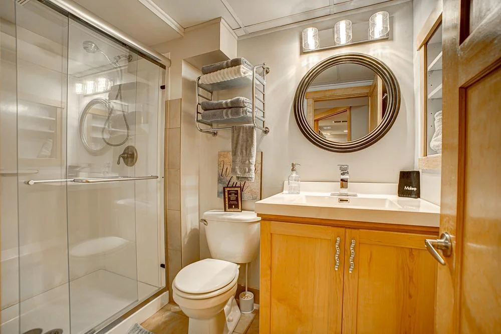 Lower Level Bathroom