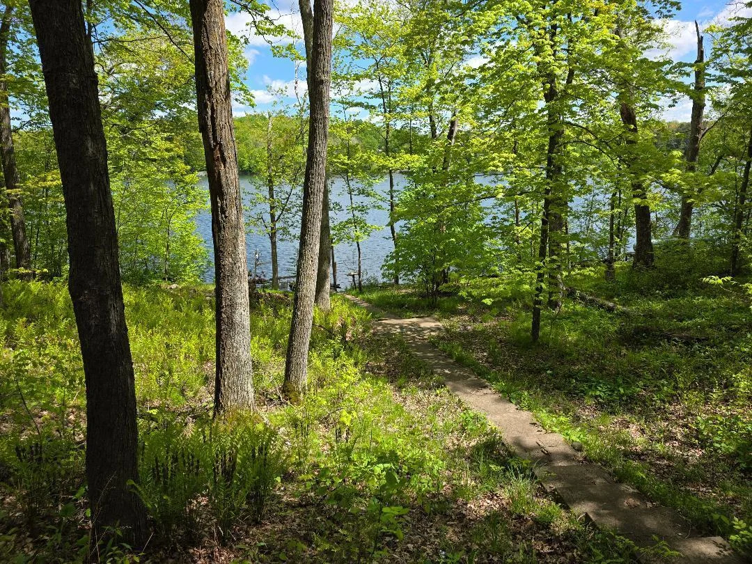 thumbnail (10).jpg