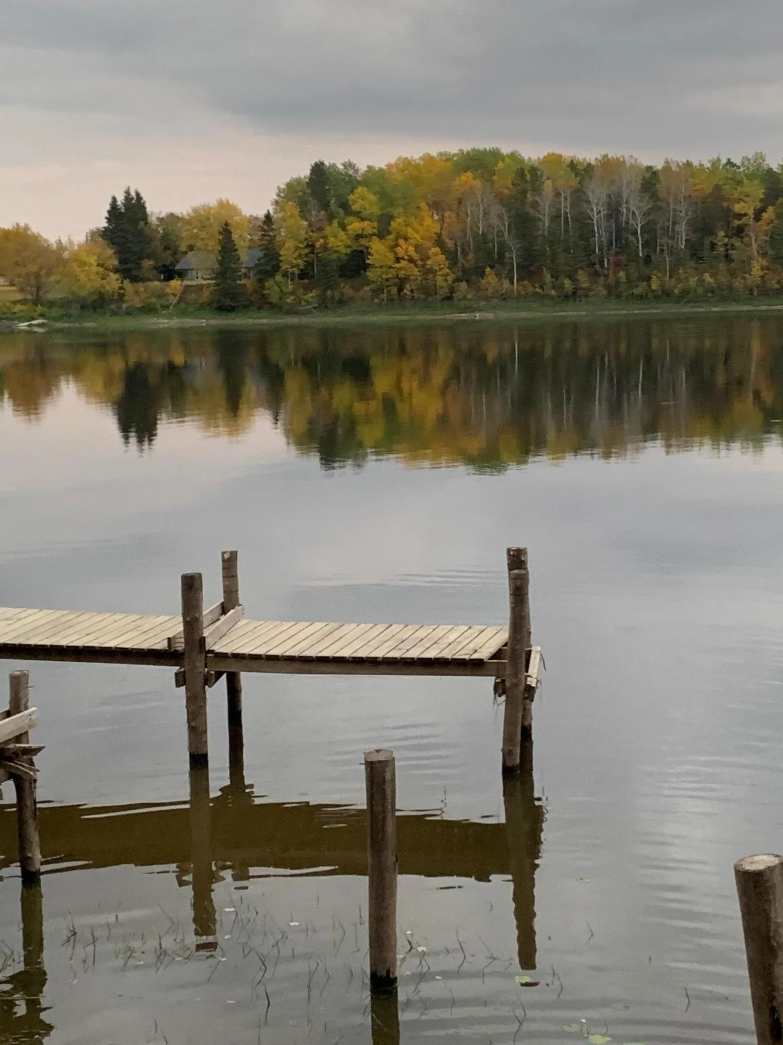 dock.jpeg