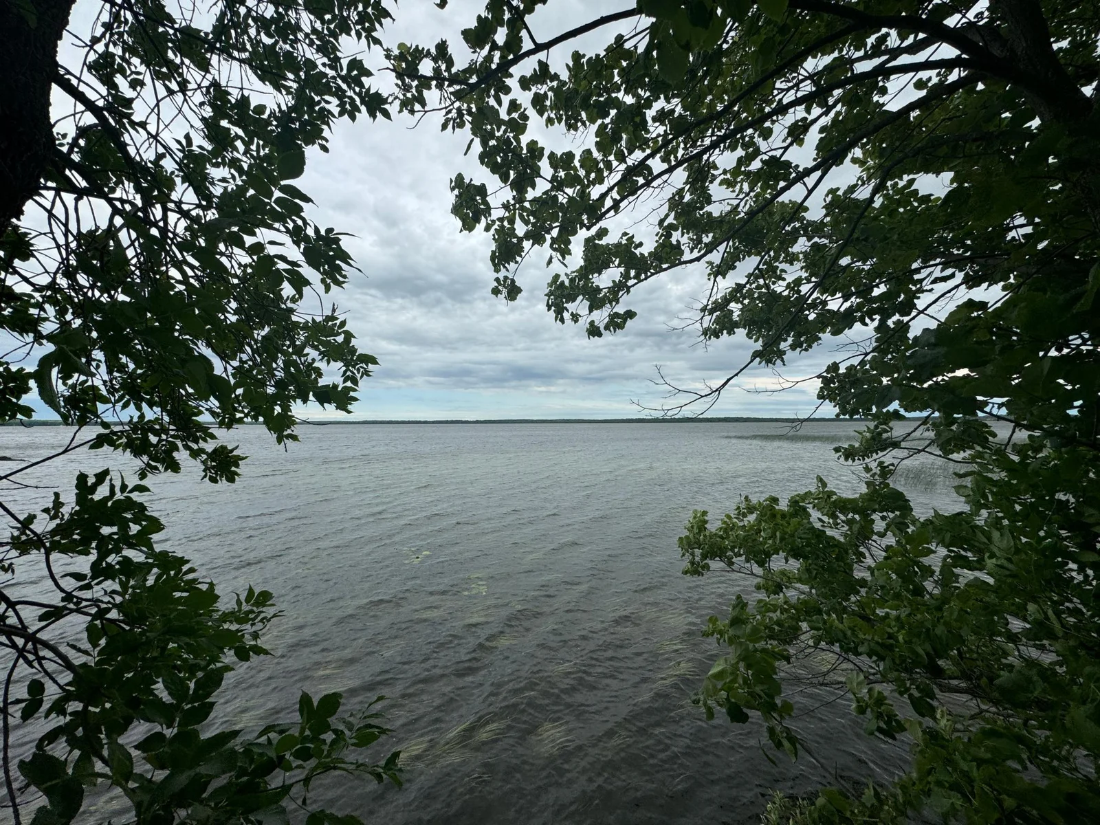 IMG_8400.JPG