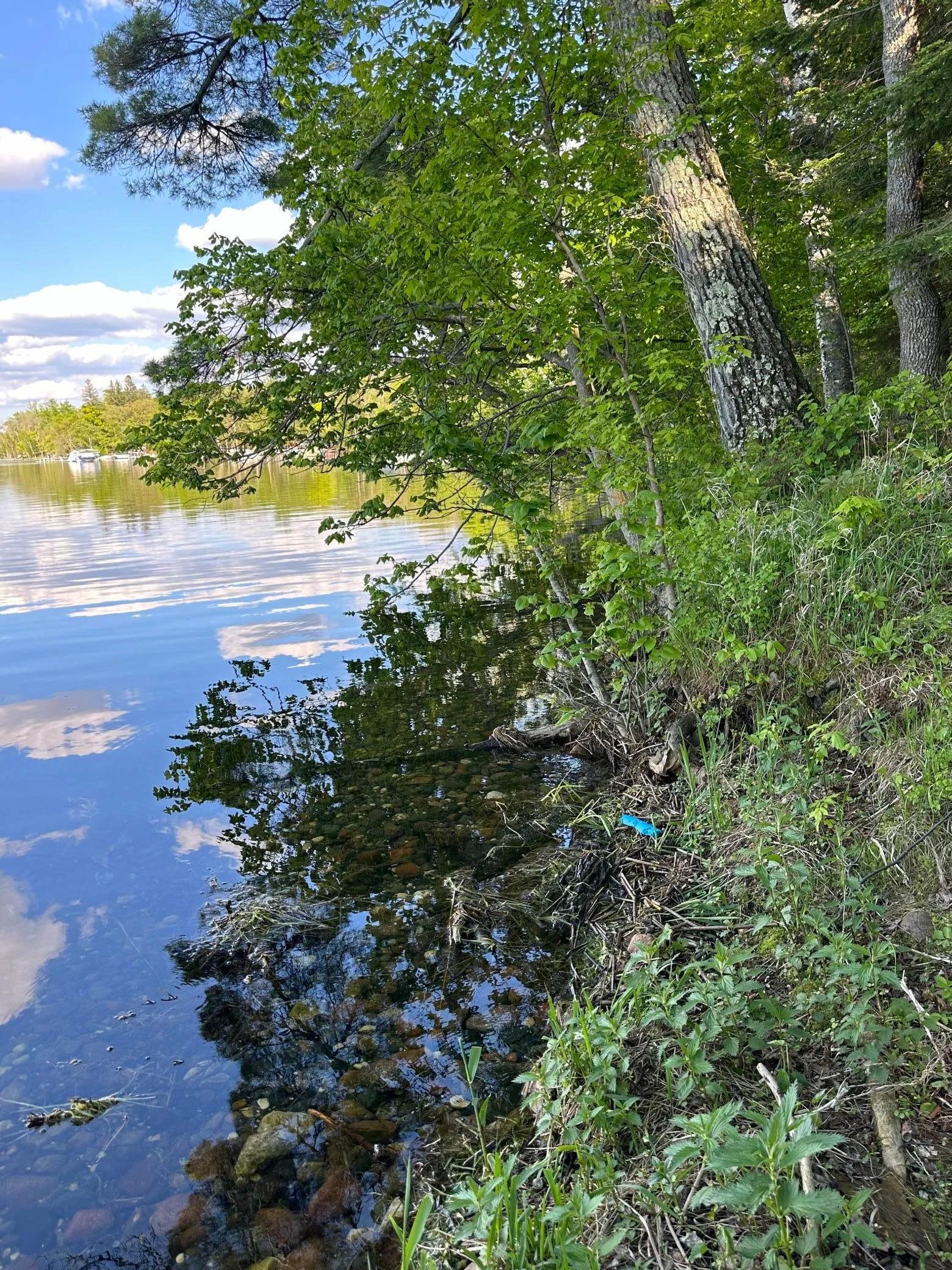 East Shoreline.jpg