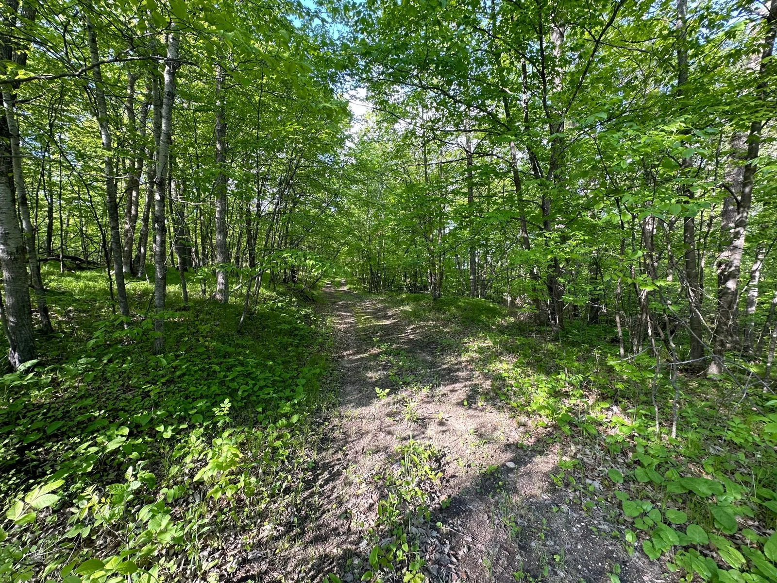 Entrance from rd shell lk.jpg