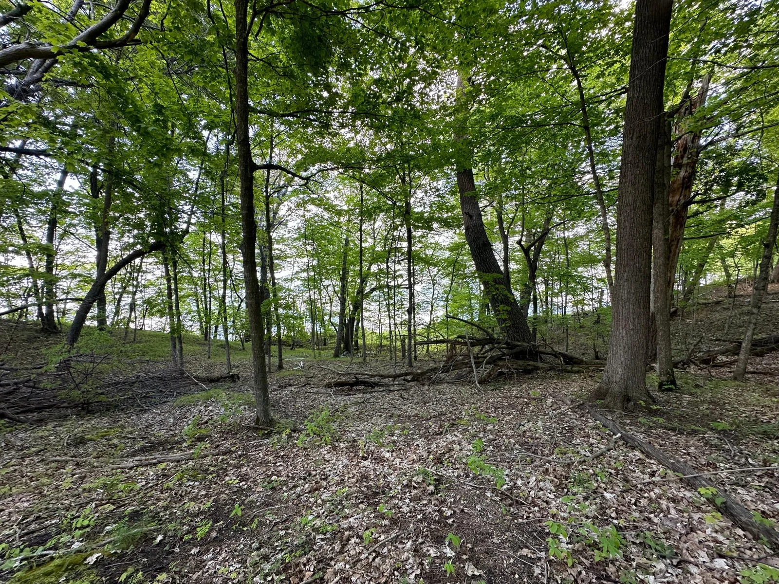 lakeshore view.jpg