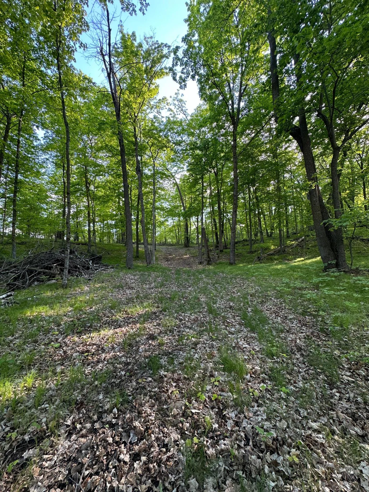 Trail shell lk.jpg