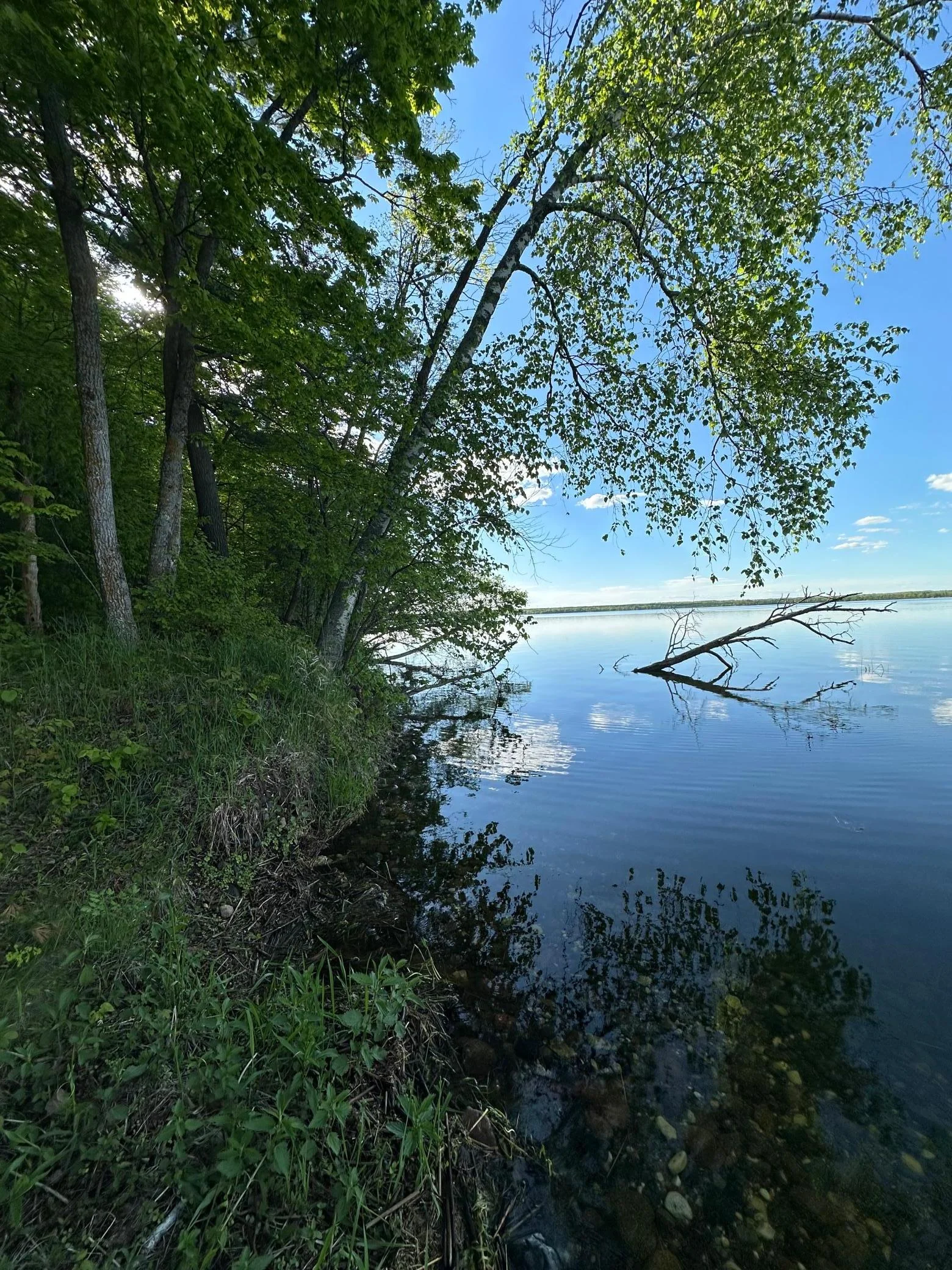 West Shoreline.jpg