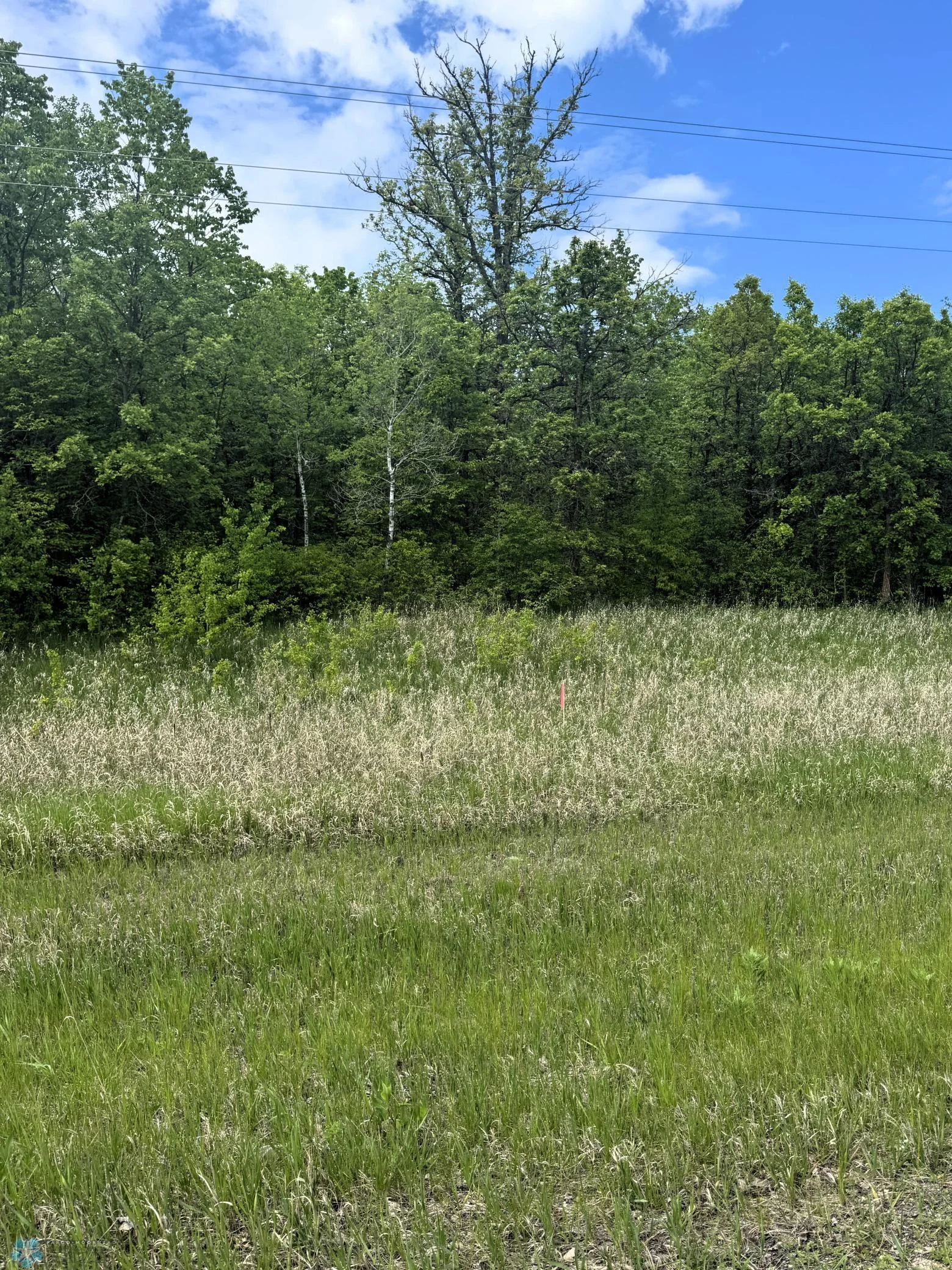 Direct Access from CR-4; Level Lot; Wooded