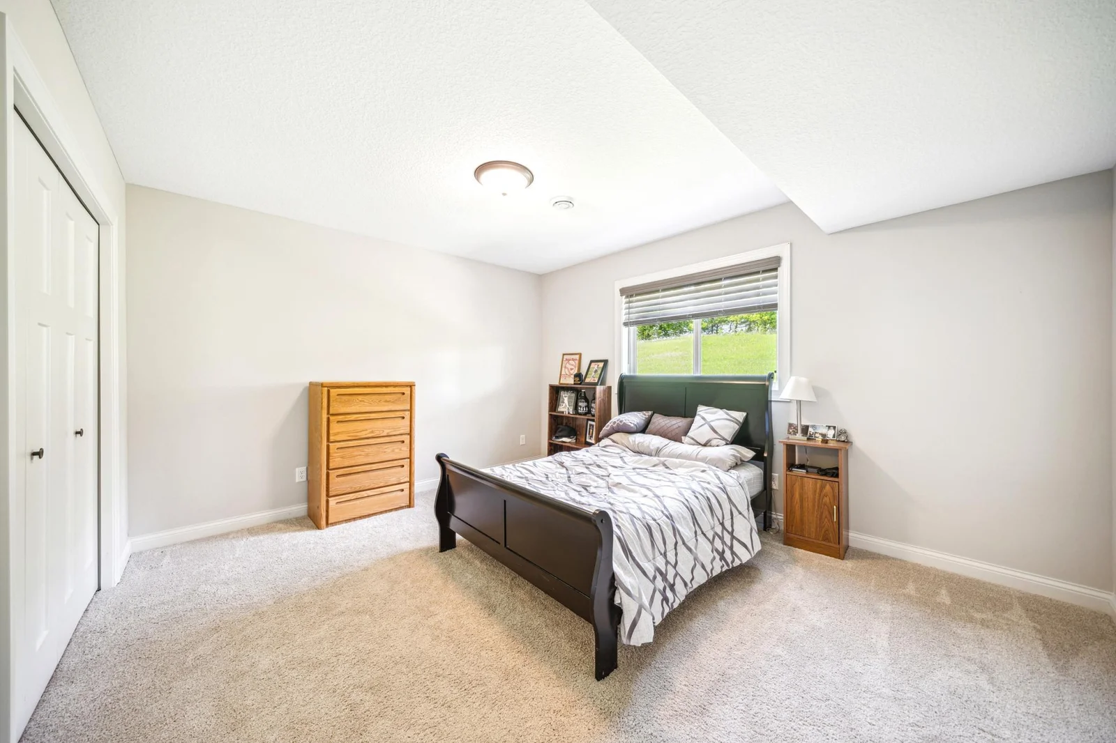 Lower level bedroom with generous closet space.jpg