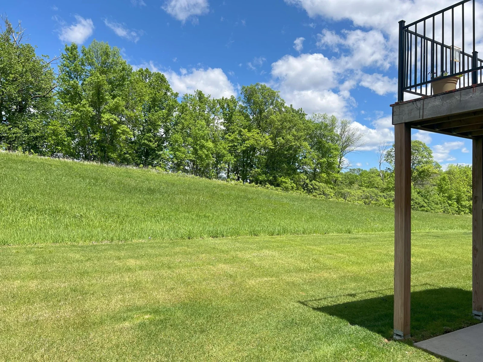 Rear yard green space perfect for outdoor activities.jpg