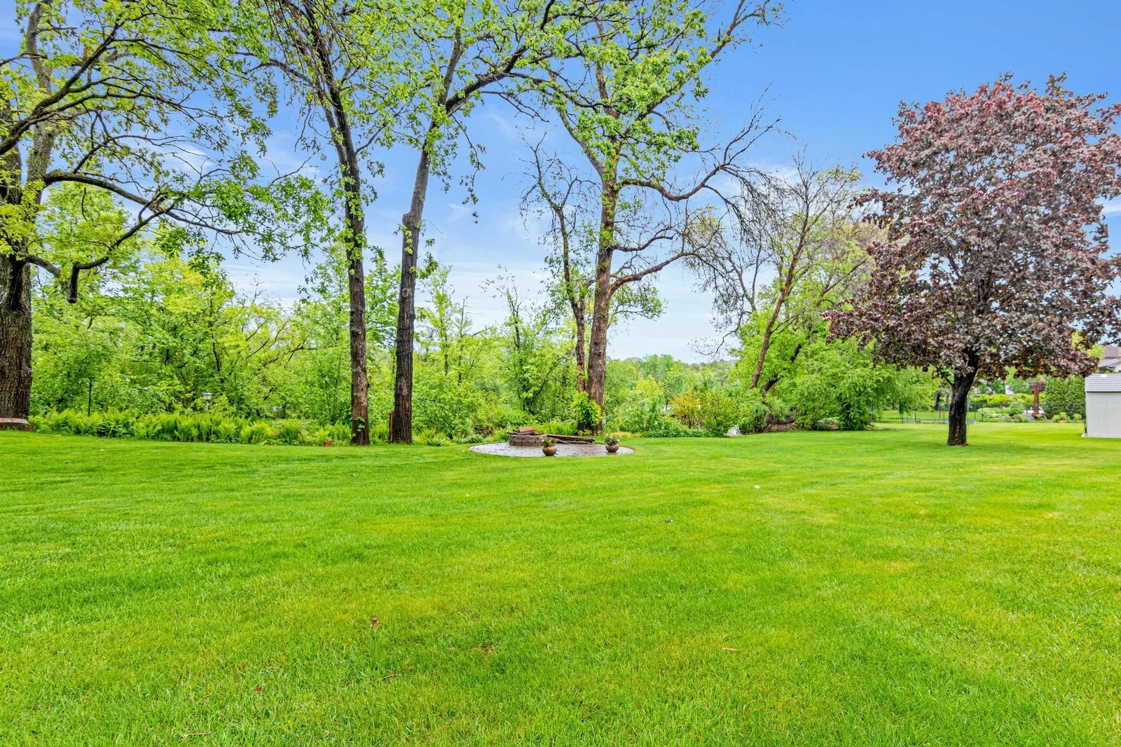 Gorgeous backyard! Plenty of room to play