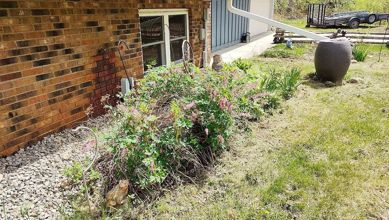 IMG20250519134830.jpg