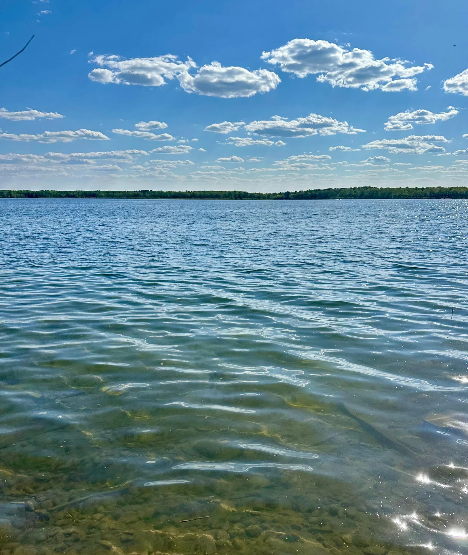 IMG_1831.jpg