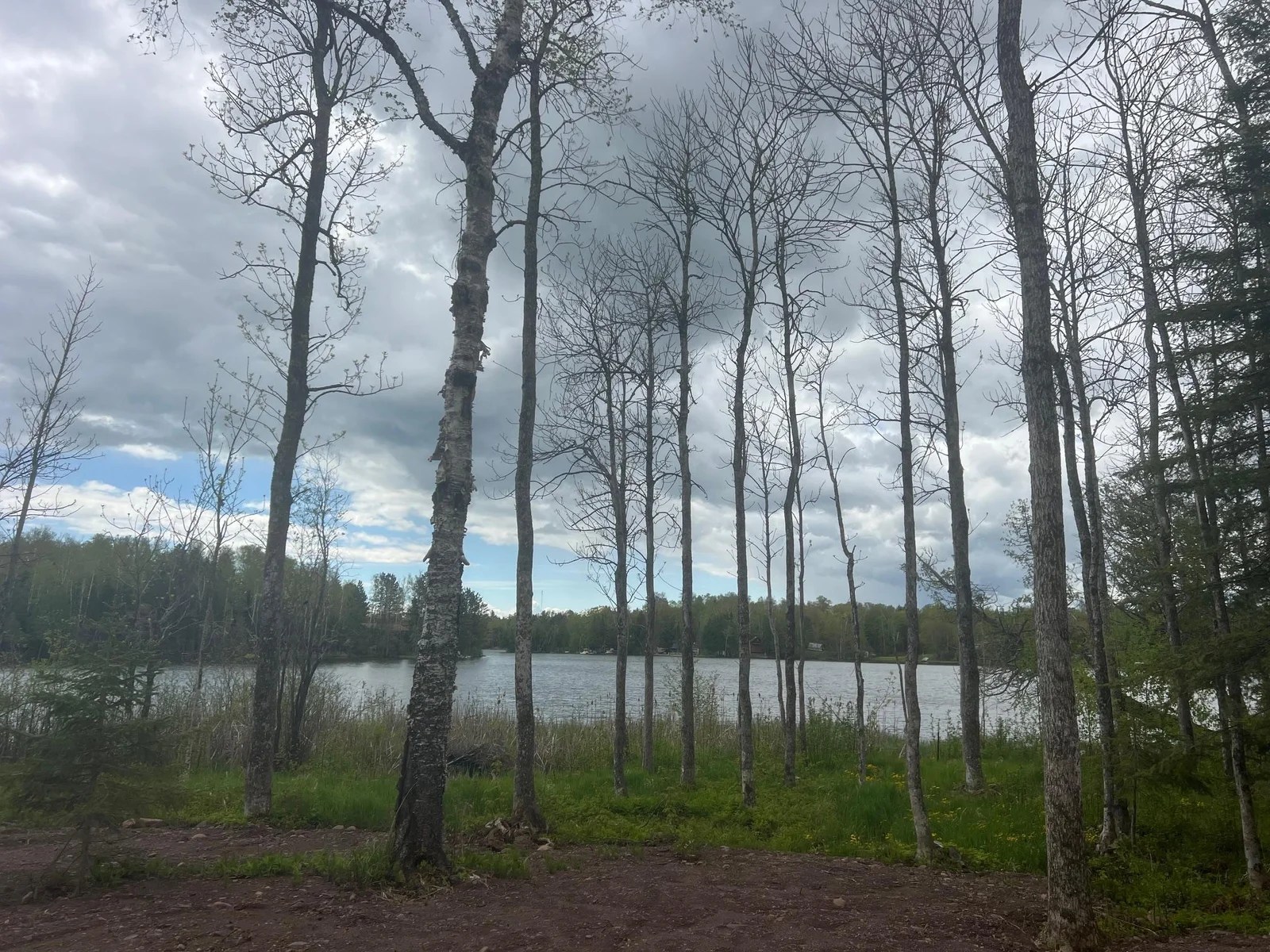 Lakeshore