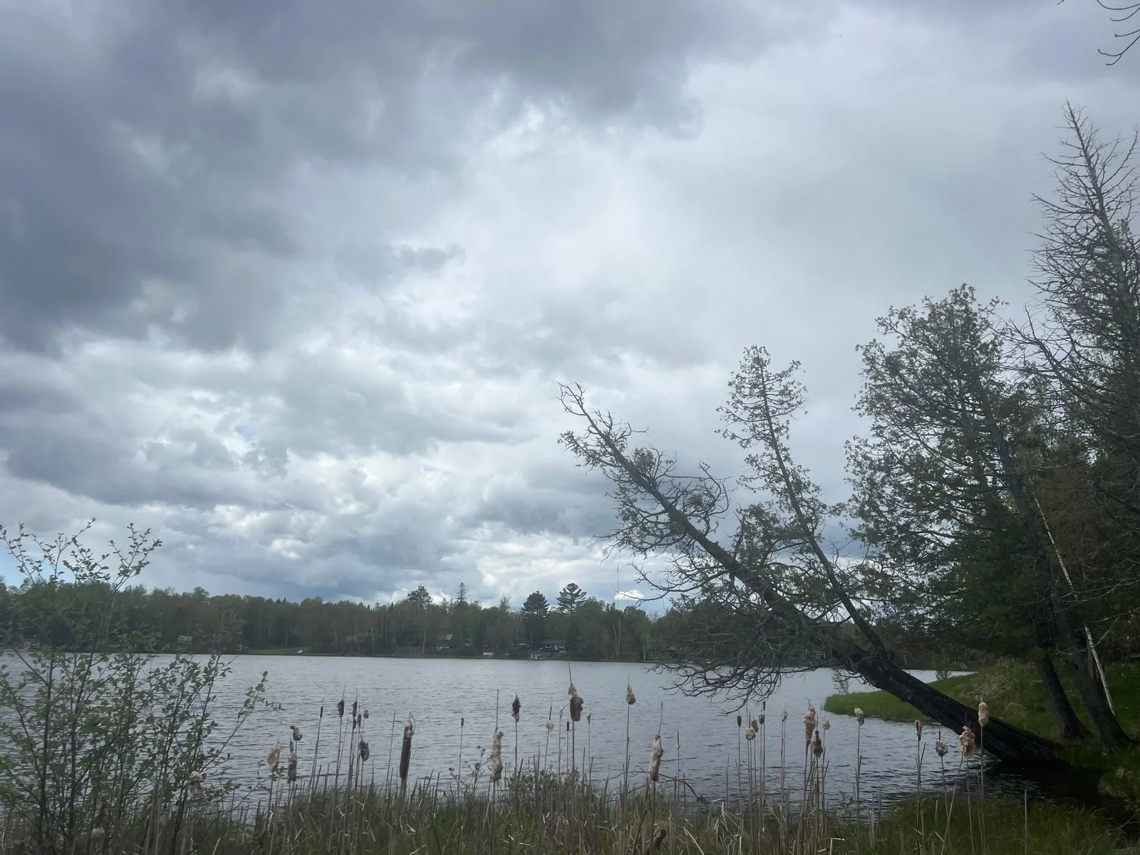 Lakeshore view