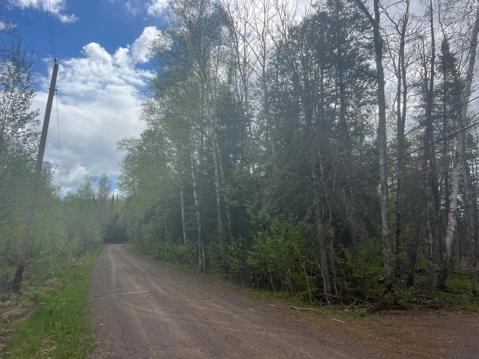 Briar Lake Road