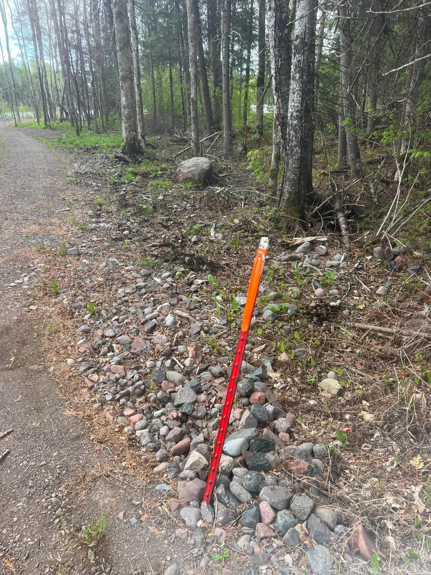 Survey stakes in place