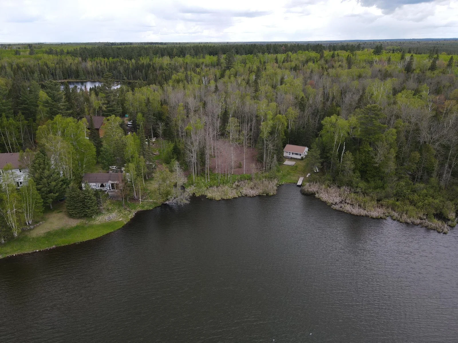Wooded Lake Property