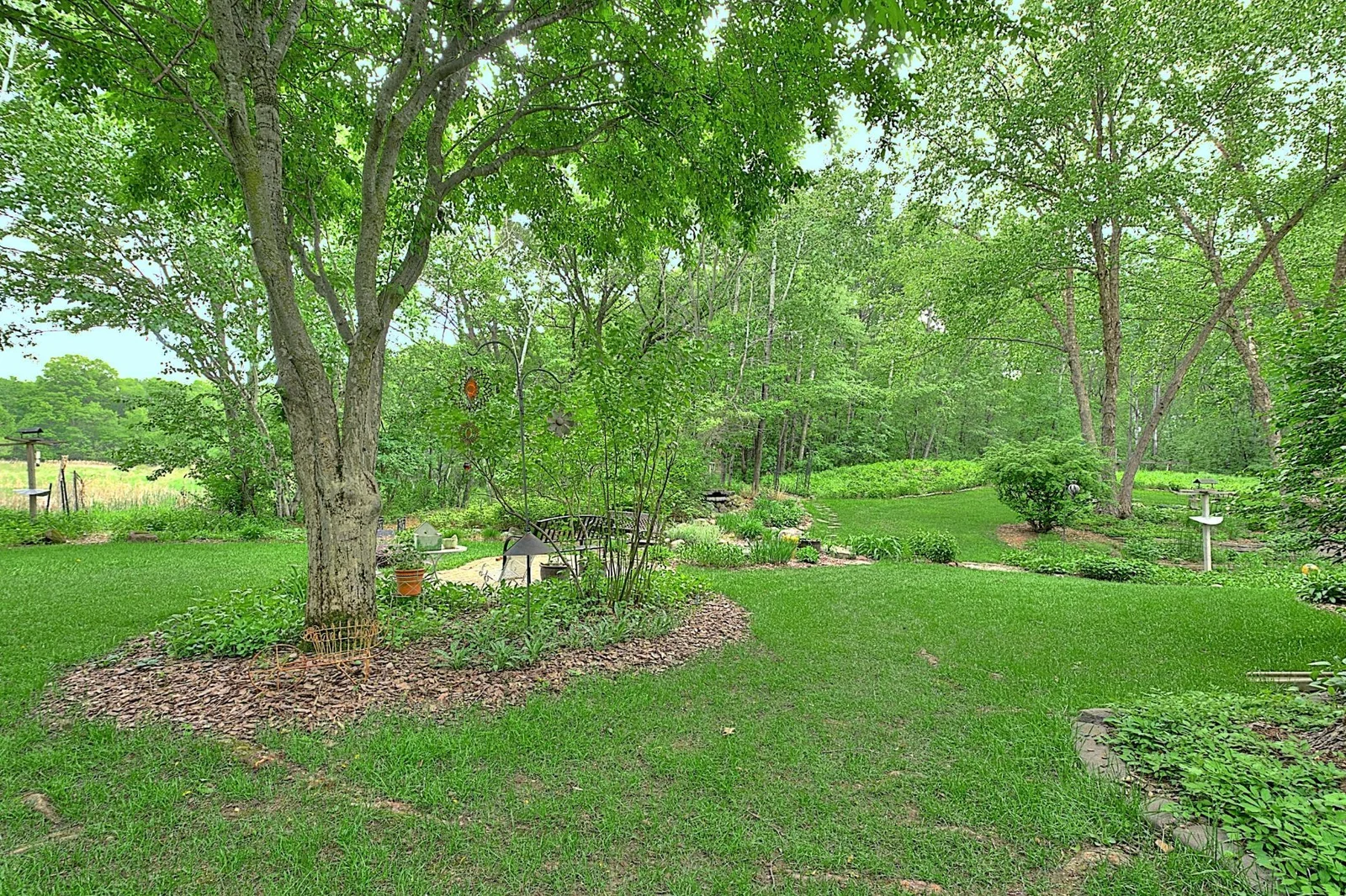 Backyard View