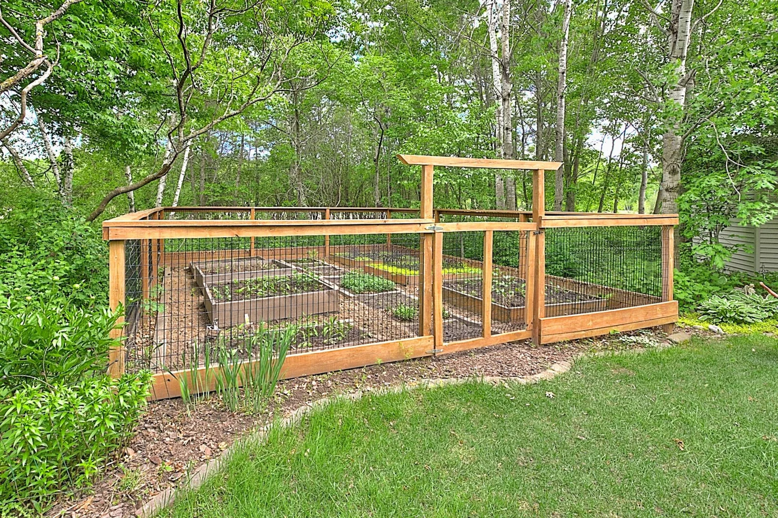 Vegetable Garden