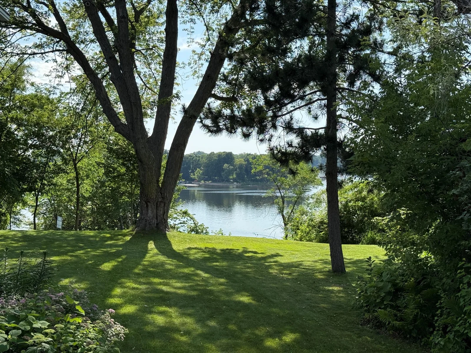 View.jpg