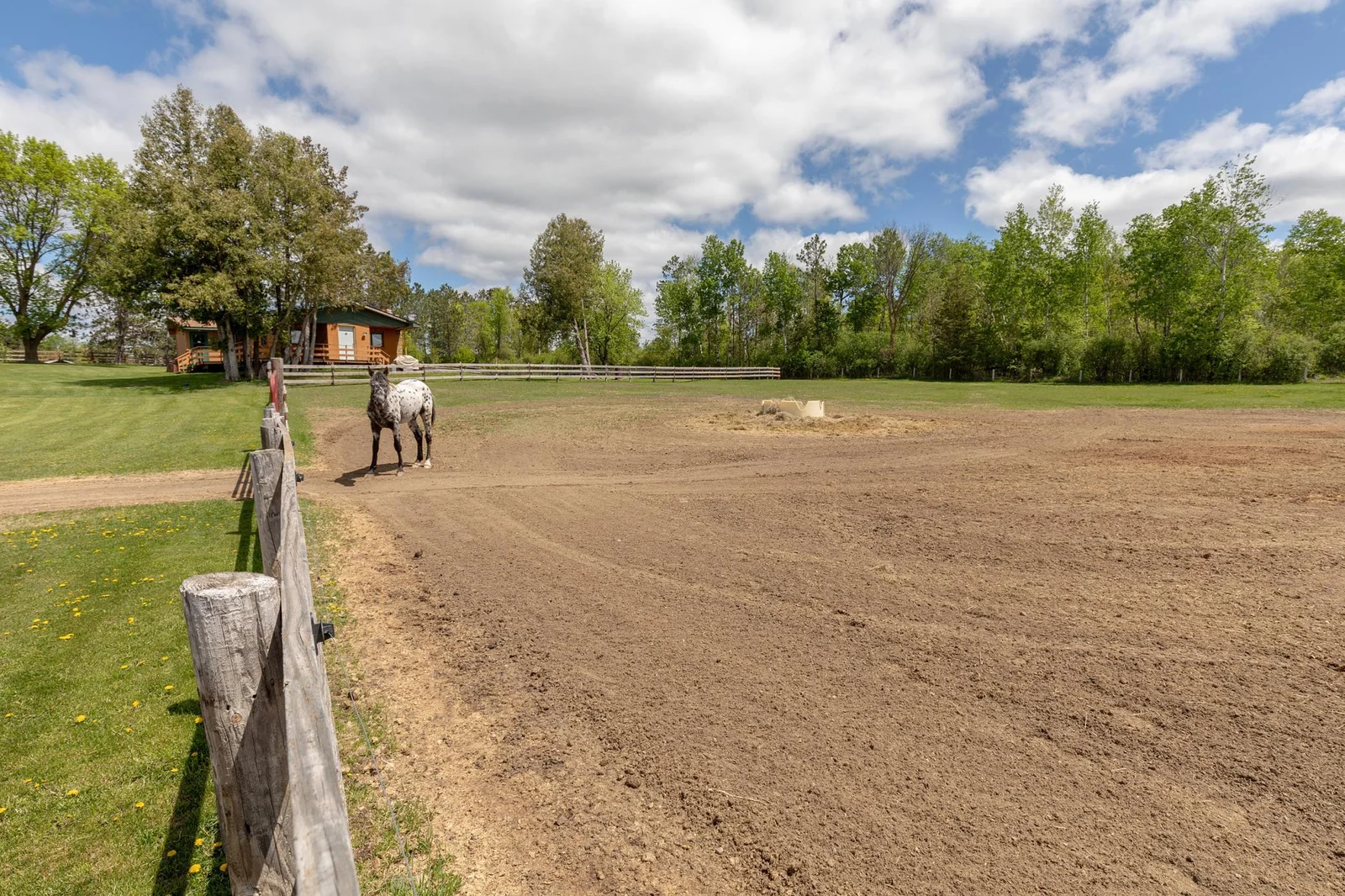 Horse Stable South of Home