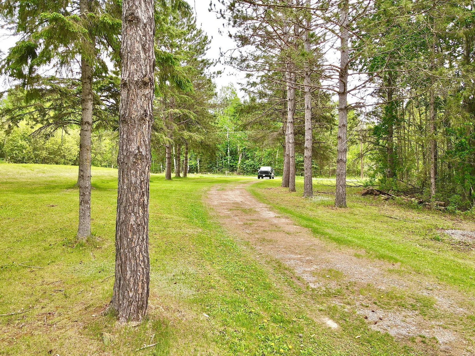 Thumbnail photo 55