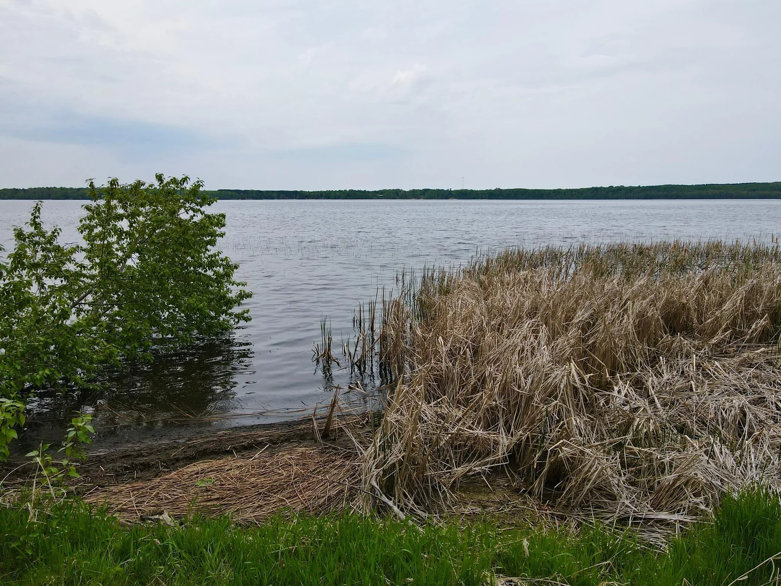 Thumbnail photo 45