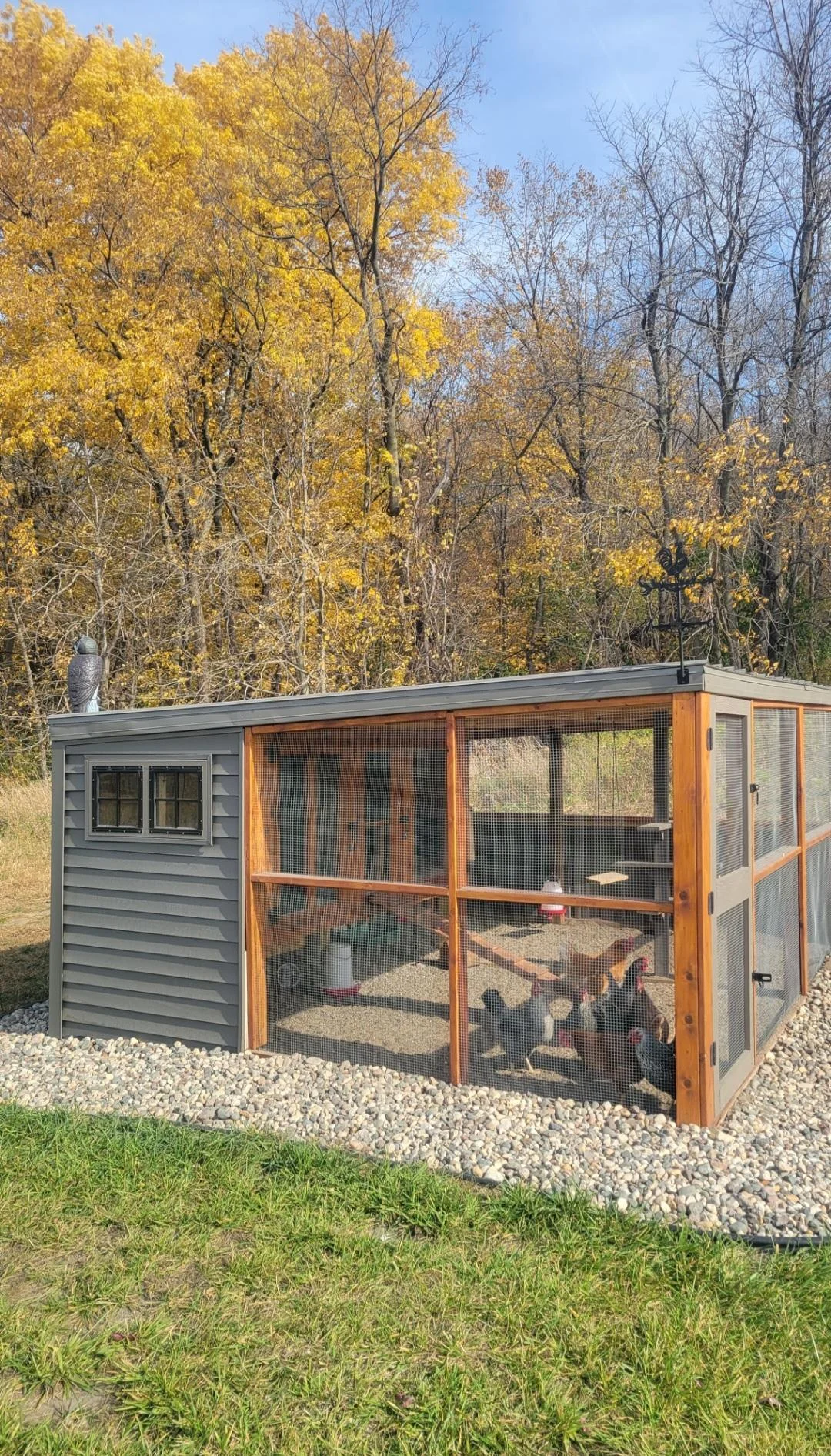 Don't miss this adorable custom chicken coop with enough room for 8 chickens!