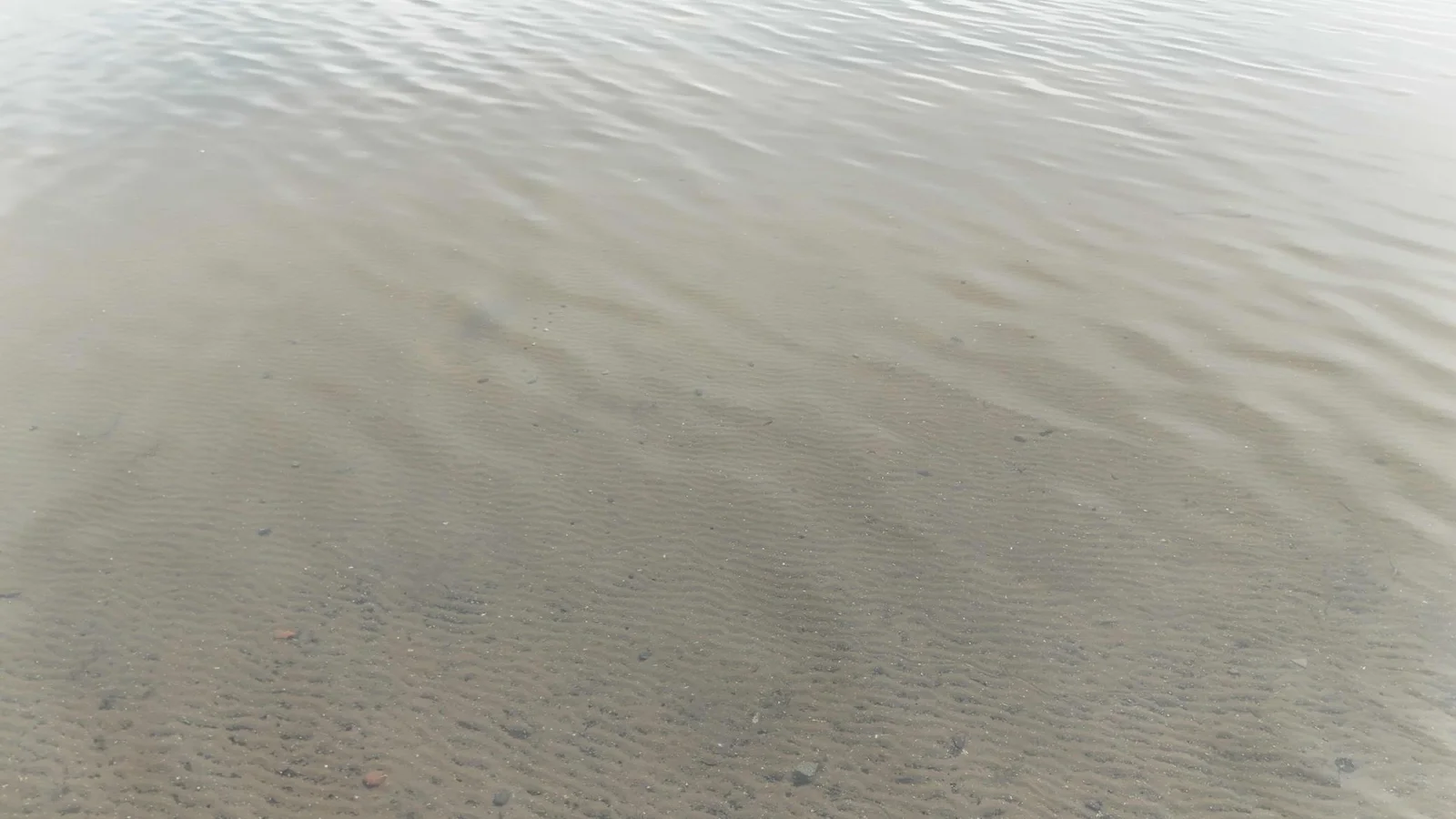 DJI_20250527101824_0050_D.jpeg
