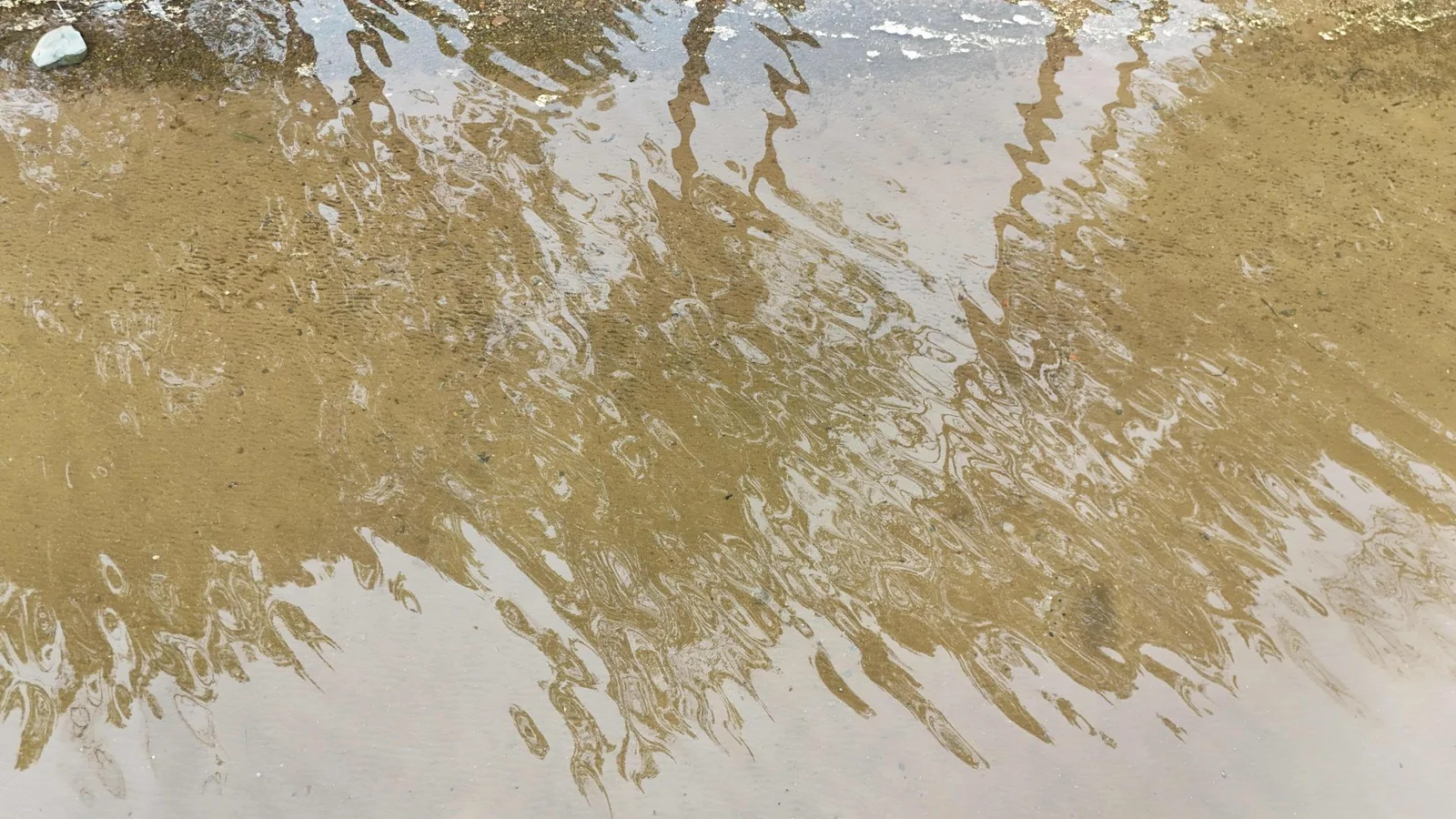 DJI_20250527101732_0047_D.jpeg