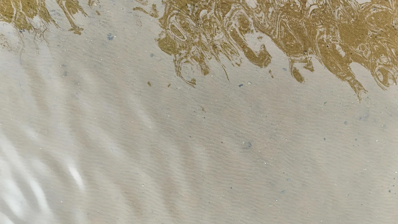DJI_20250527101748_0048_D.jpeg
