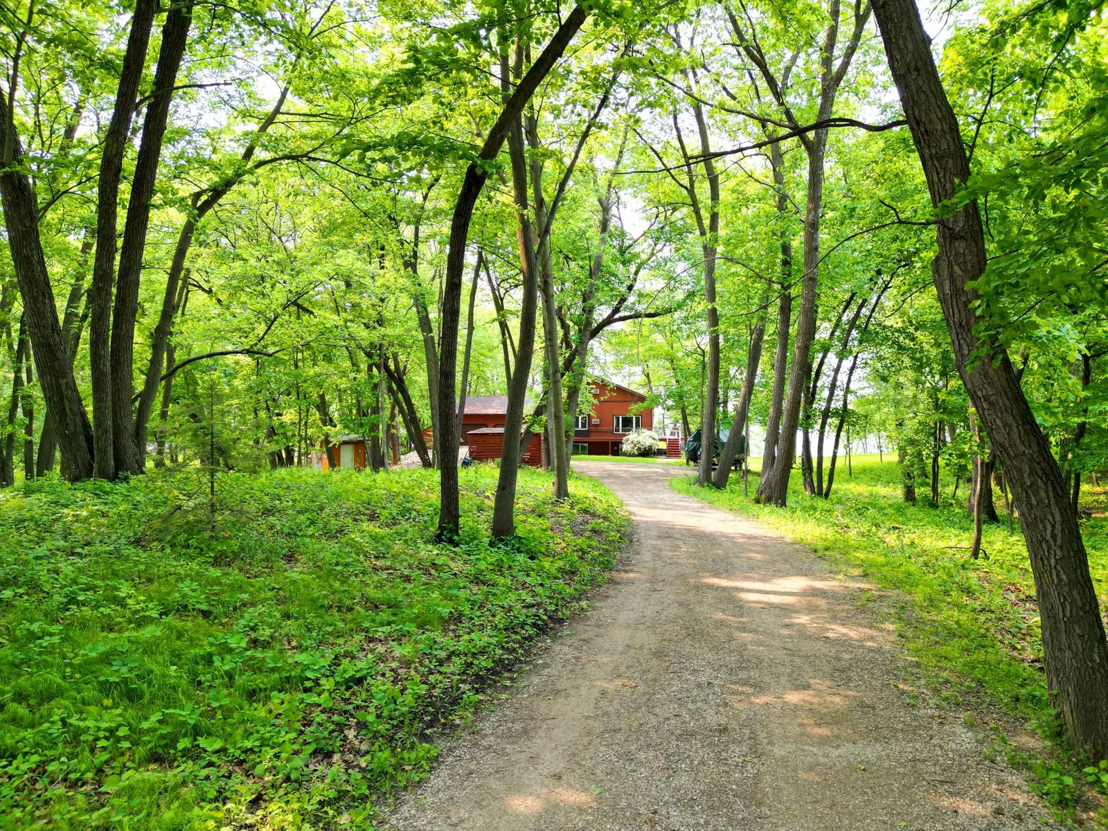 Lush Driveway