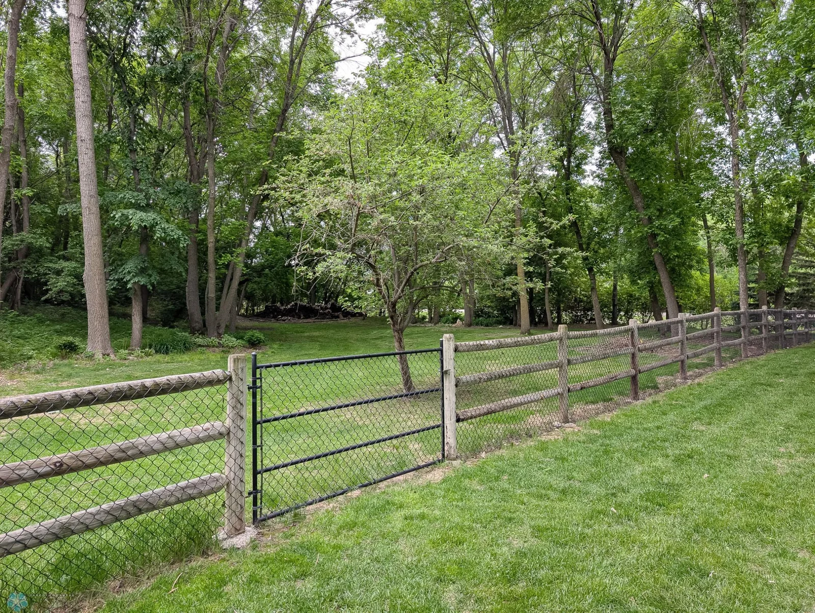 L2P017-151229906.jpg