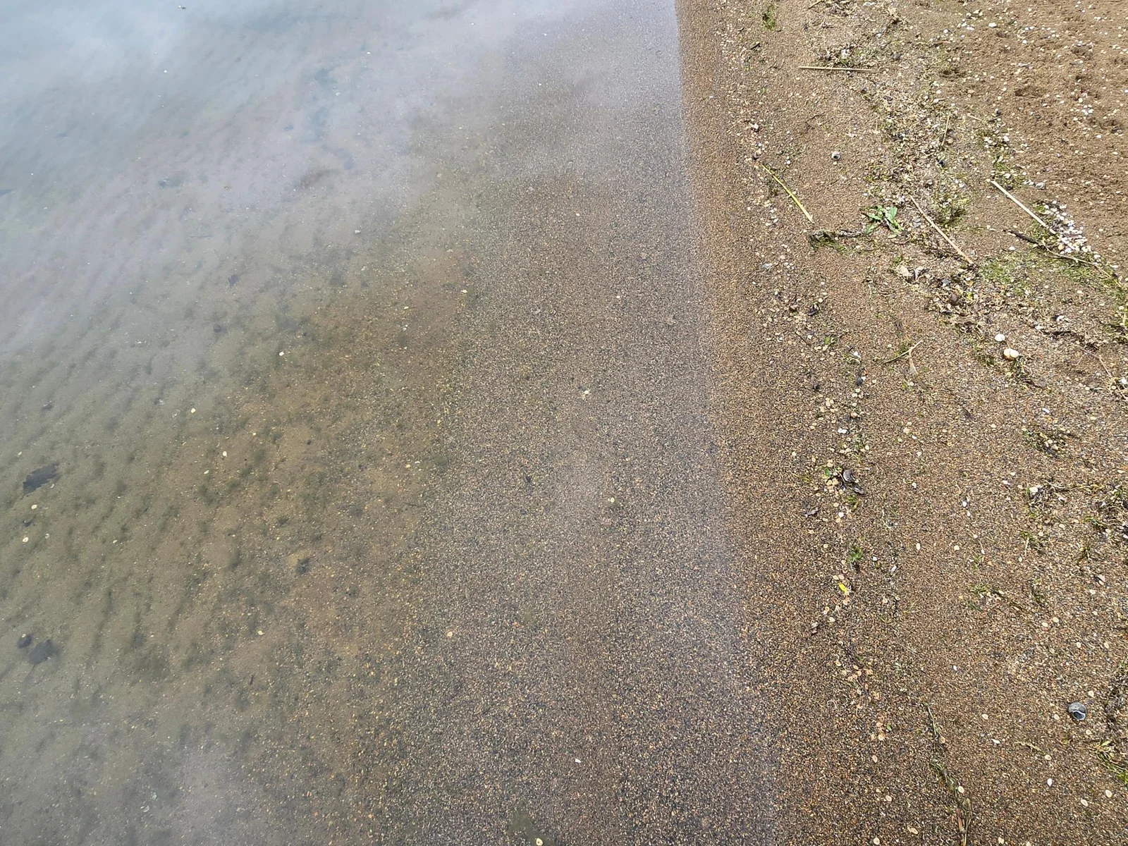 20250528_123136.jpg