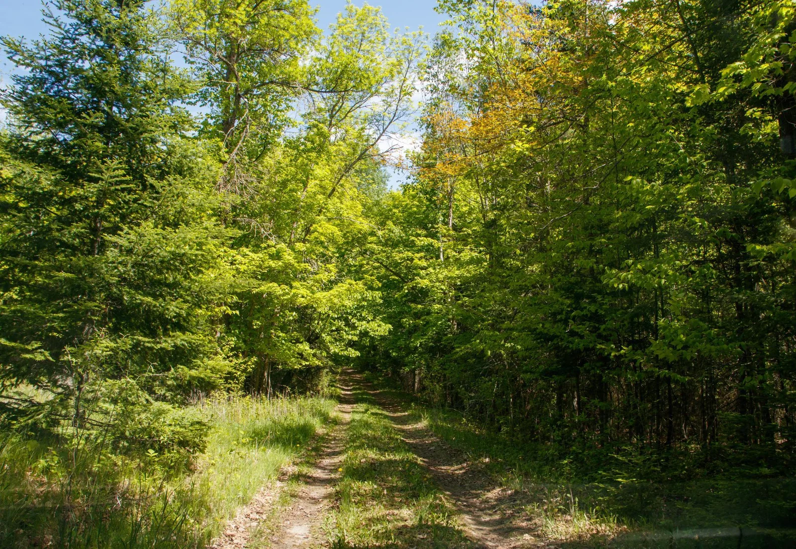 lightroom-7.jpg