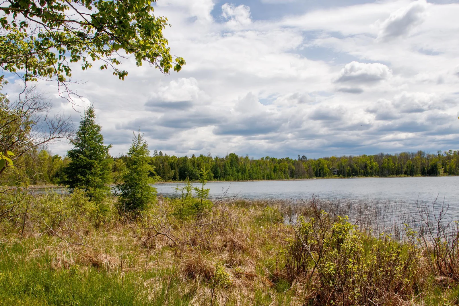 lightroom-3.jpg