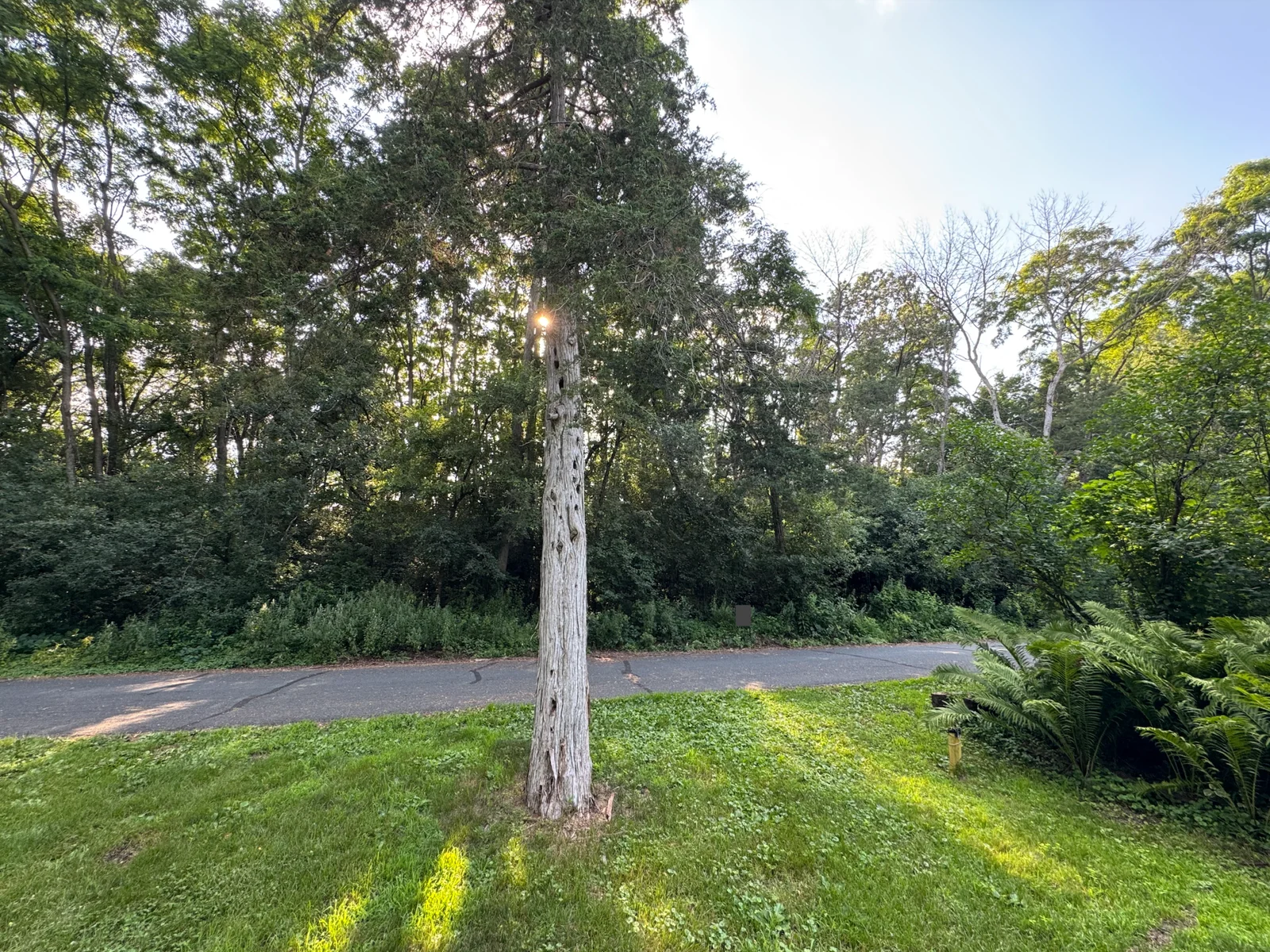 General lot frontage