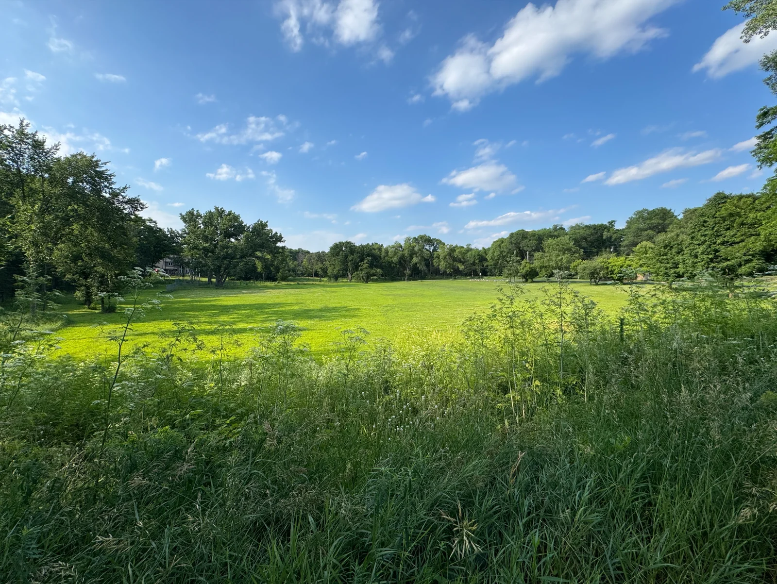 Park, baseball field and grassy area less than a block East!