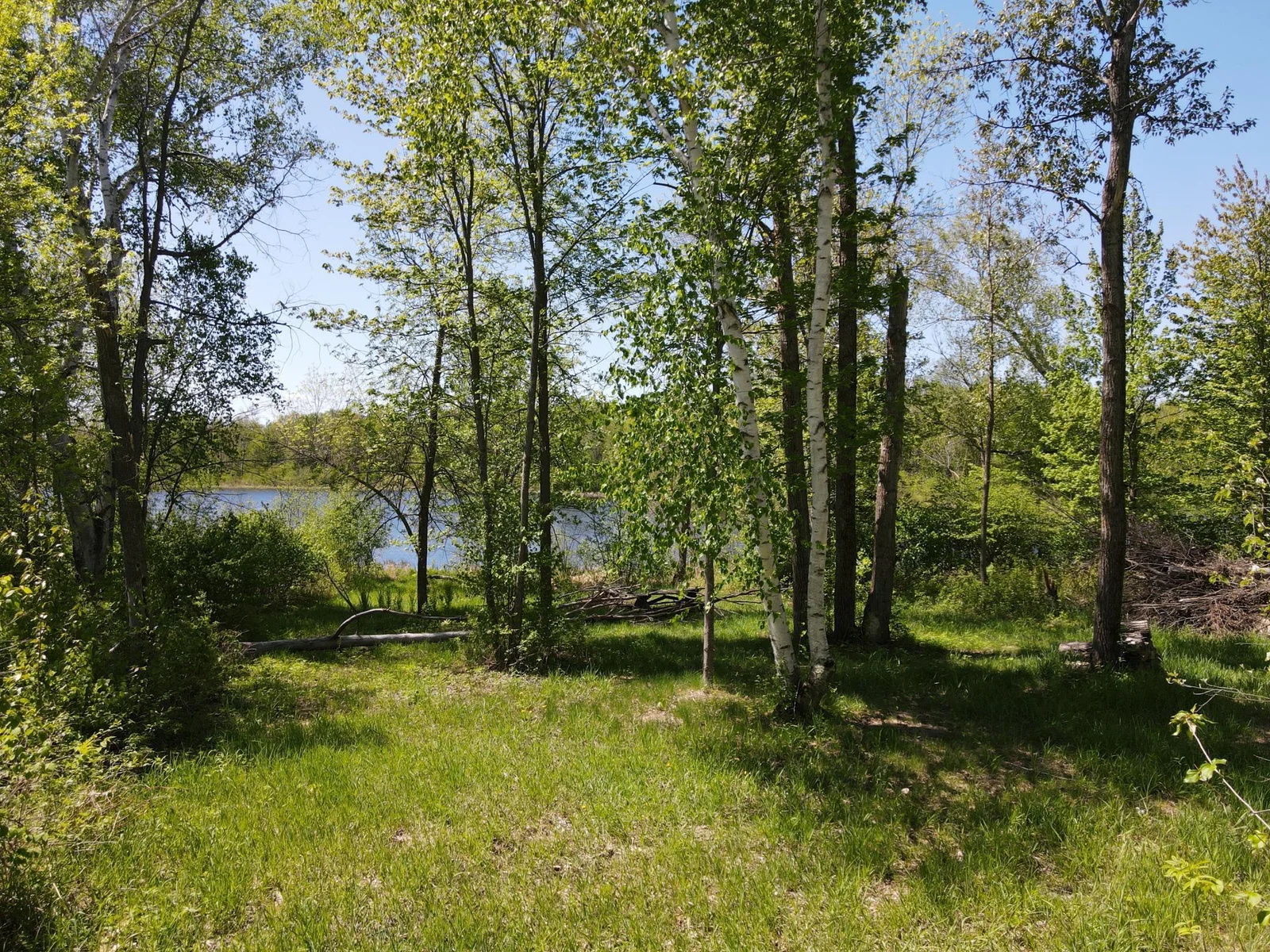Picnic Area