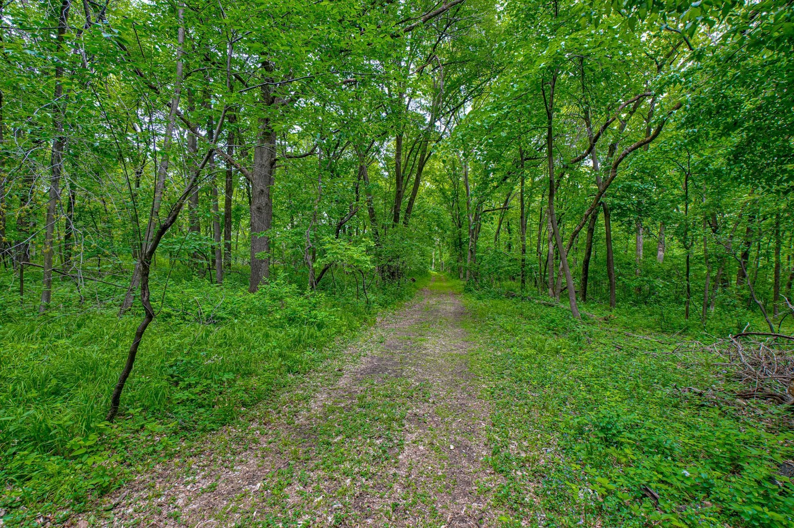 Follow a winding trail through the woods to your own riverfront escape, where the largest basswood tree in the area stands and a 10ft dock for your enjoyment