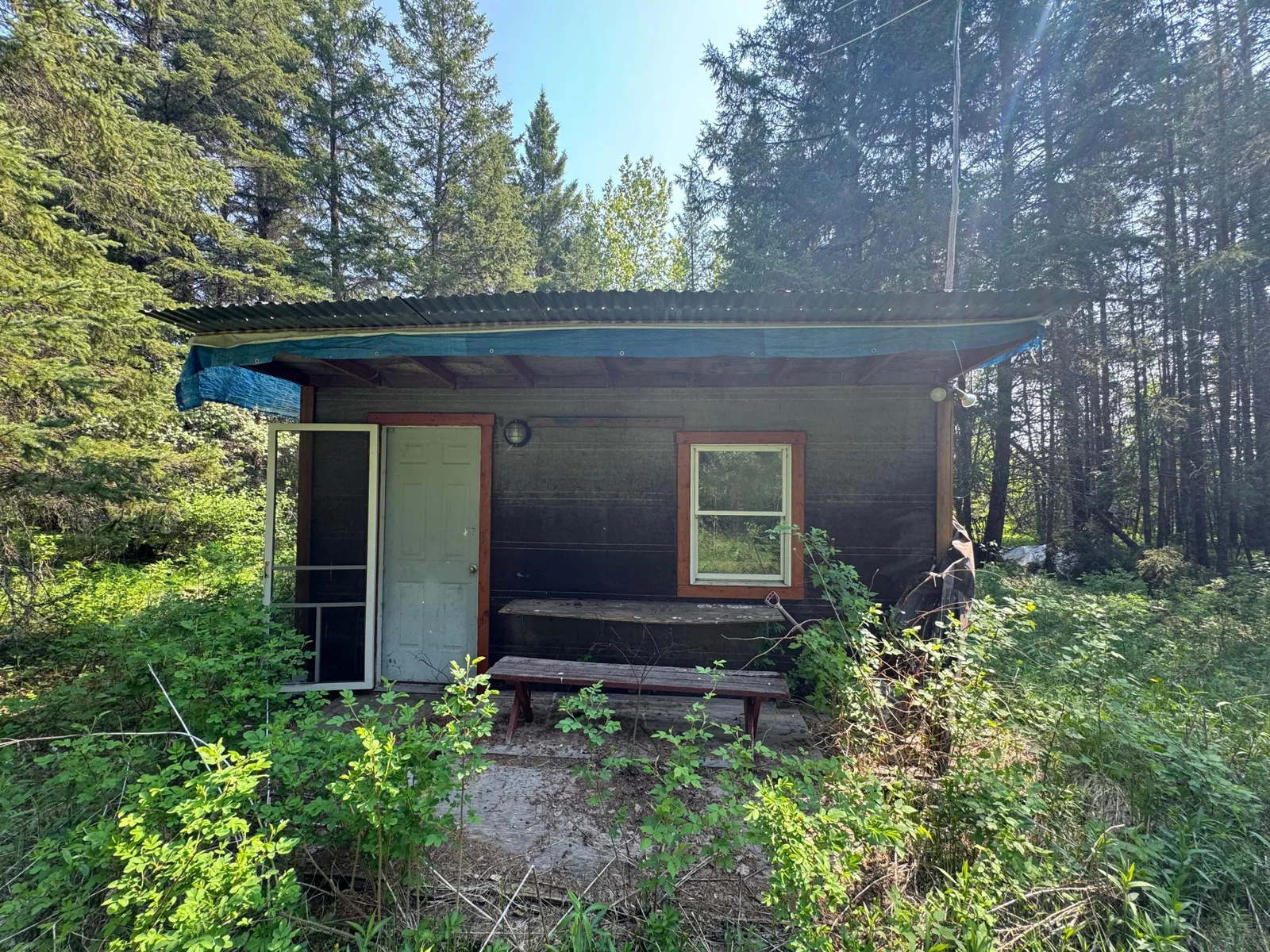 Rustic Cabin