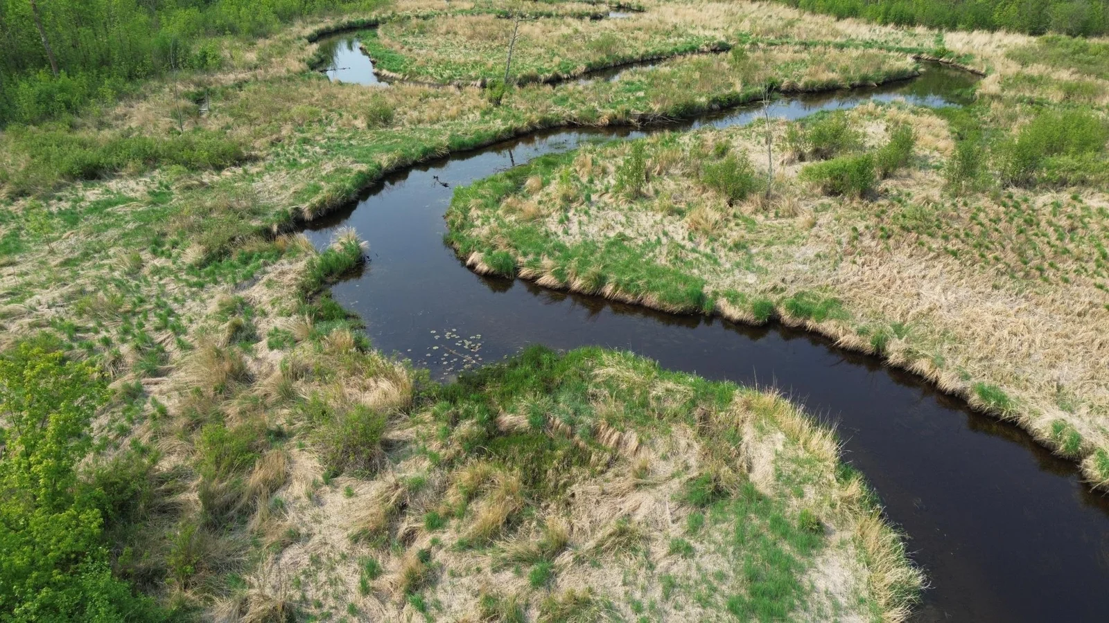 The Willow river.